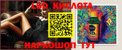 крисы Новодвинск