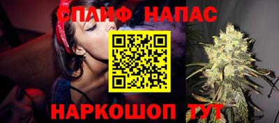 крисы Новодвинск