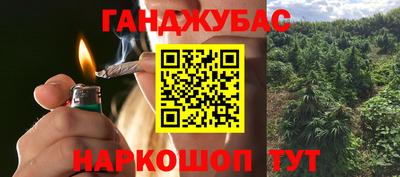 крисы Новодвинск