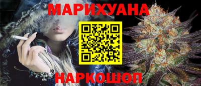 крисы Новодвинск