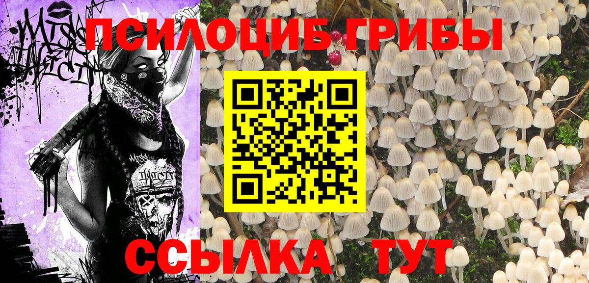 Галлюциногенные грибы Psilocybe  Вход с VPN  Шелехов  Псилоцибиновые грибы мицелий 