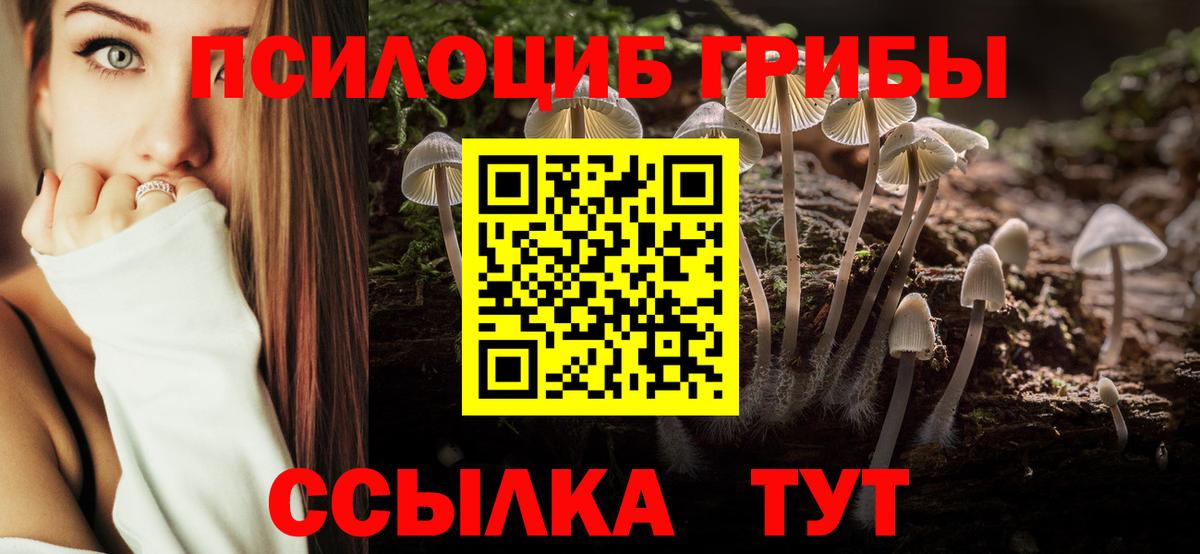 Галлюциногенные грибы Magic Shrooms Шелехов